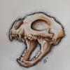Cat Skull 1
